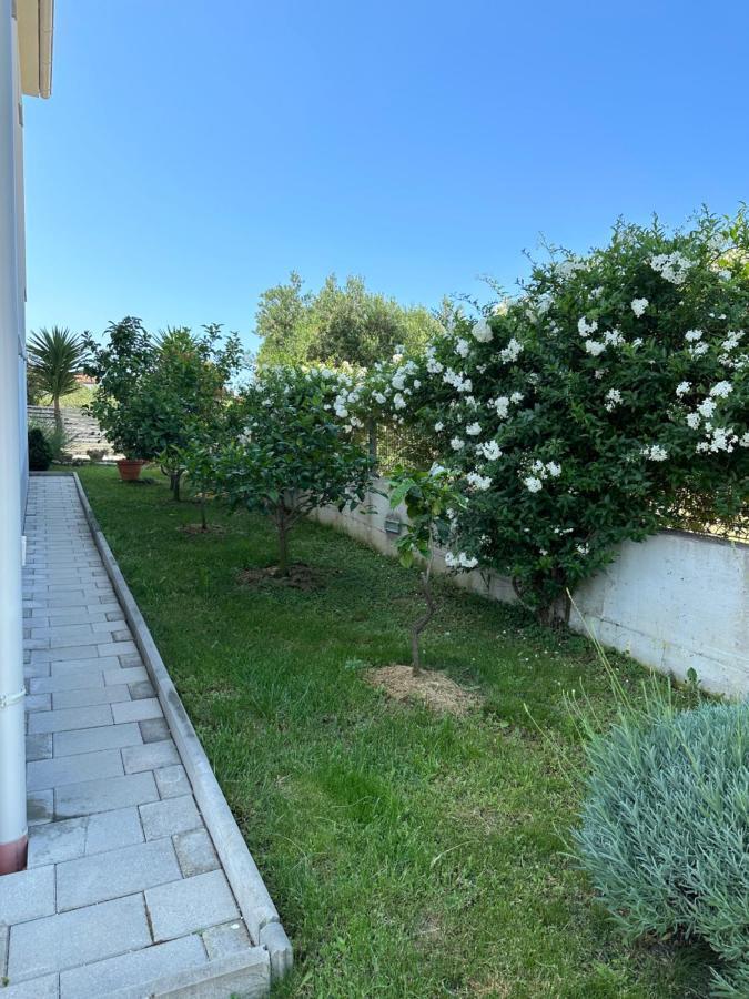 Holiday Home Mb Ražanj المظهر الخارجي الصورة